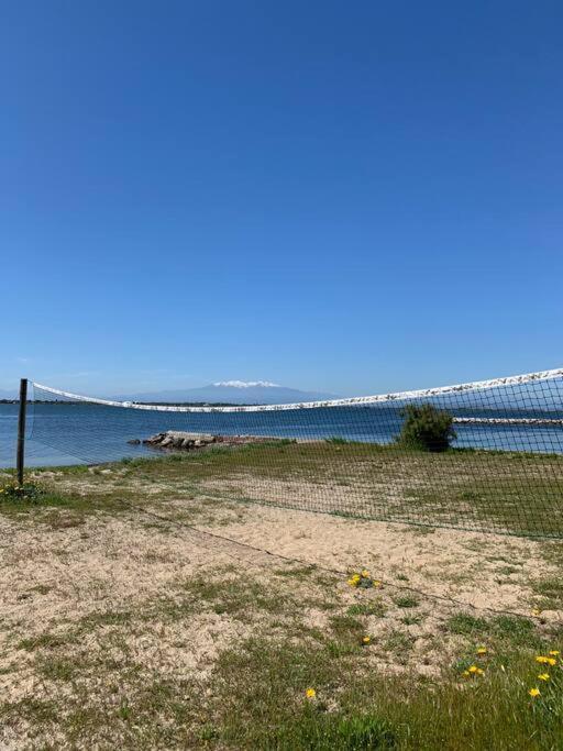 T2 Neuf + Bateau / Piscine Super Infrastructures Leilighet Le Barcarès Eksteriør bilde